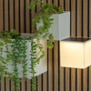 KQ-30009 Solar Wall Light
